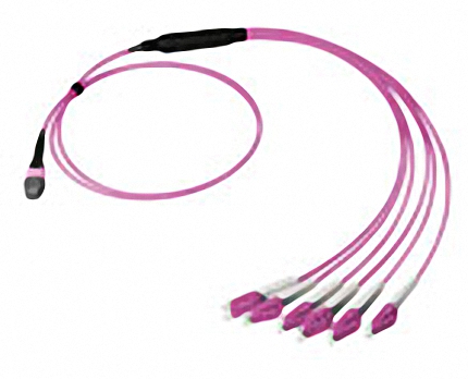 Miniroundcable 12xMPO F. - MPO F. 50/125 OM4 3,00