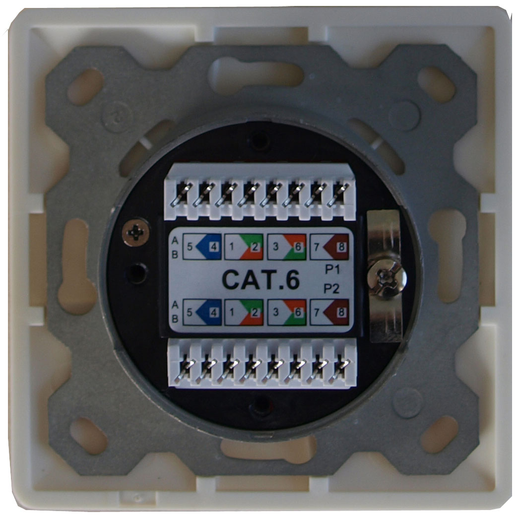 Datendose 2xRJ45 Cat.6 A