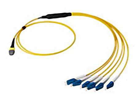 Miniroundcable 12xMPO F. - MPO F. 9/125 OS2 3,00